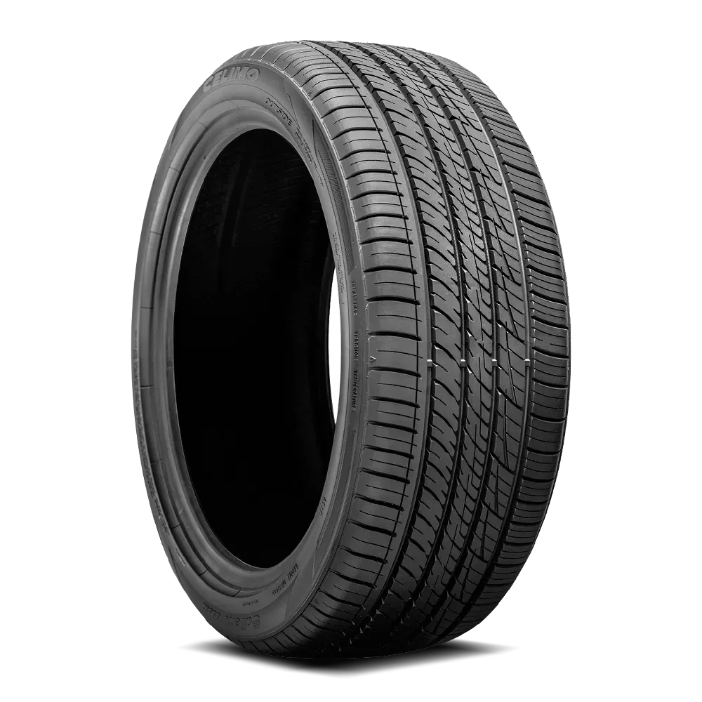 Celimo Salient CS580 295/30R20XL 101Y BSW