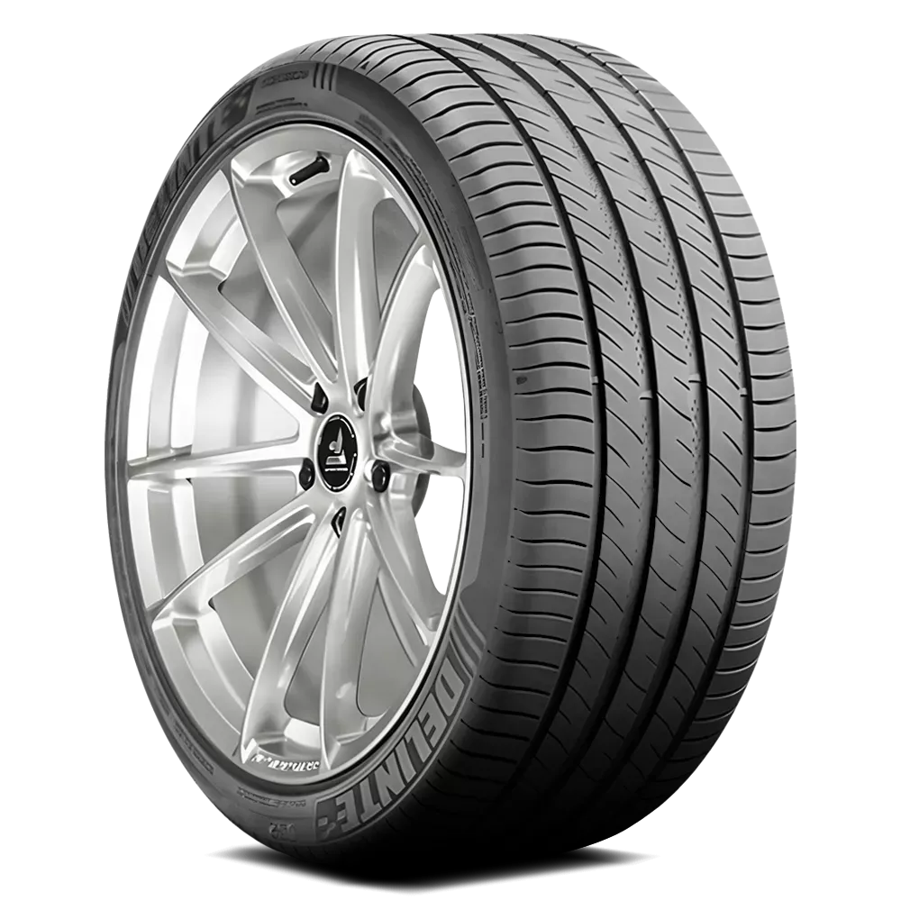 225/65R16 Delinte DS2