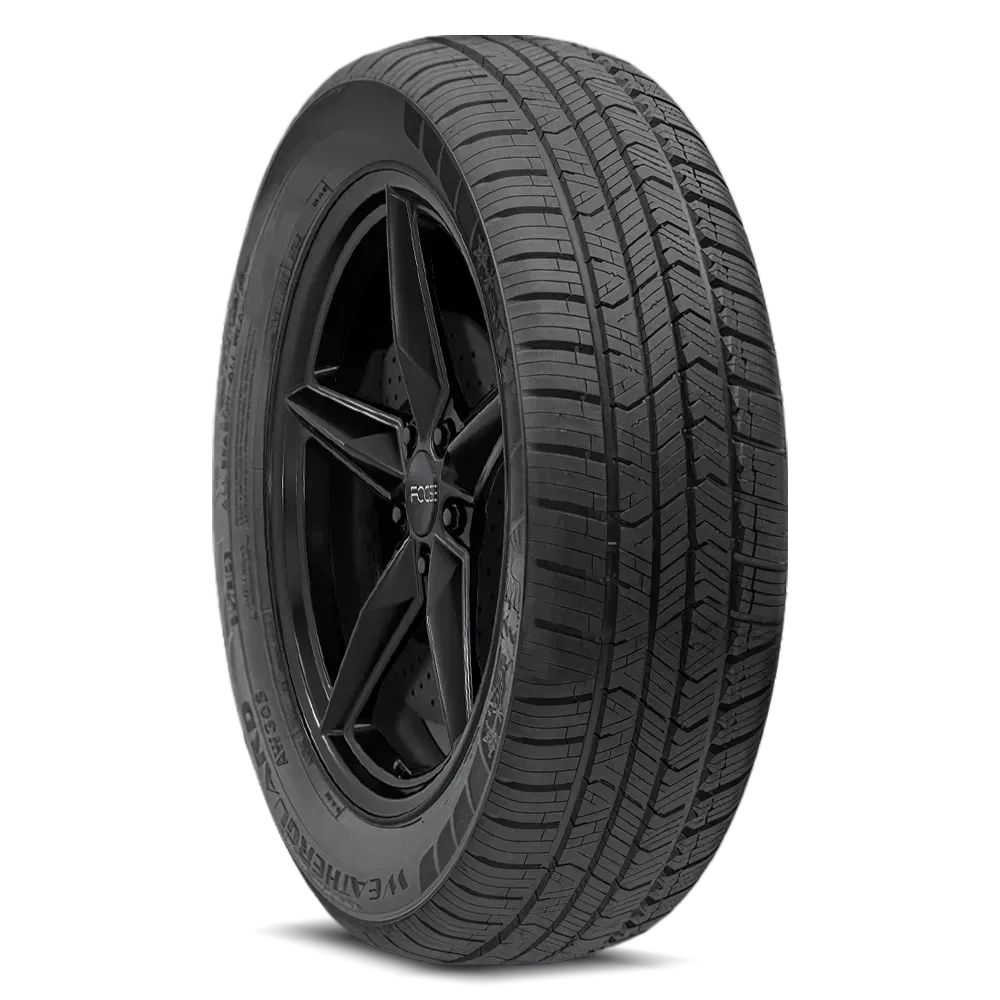 Milestar Weatherguard AW365 195/65R15XL 95H BSW