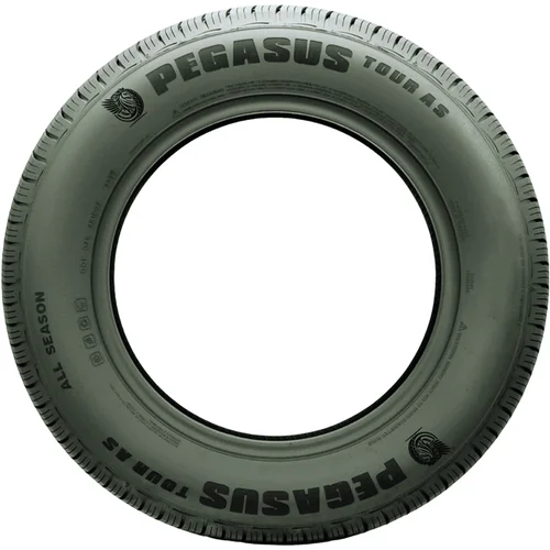 215/70R15 Pegasus Tour AS